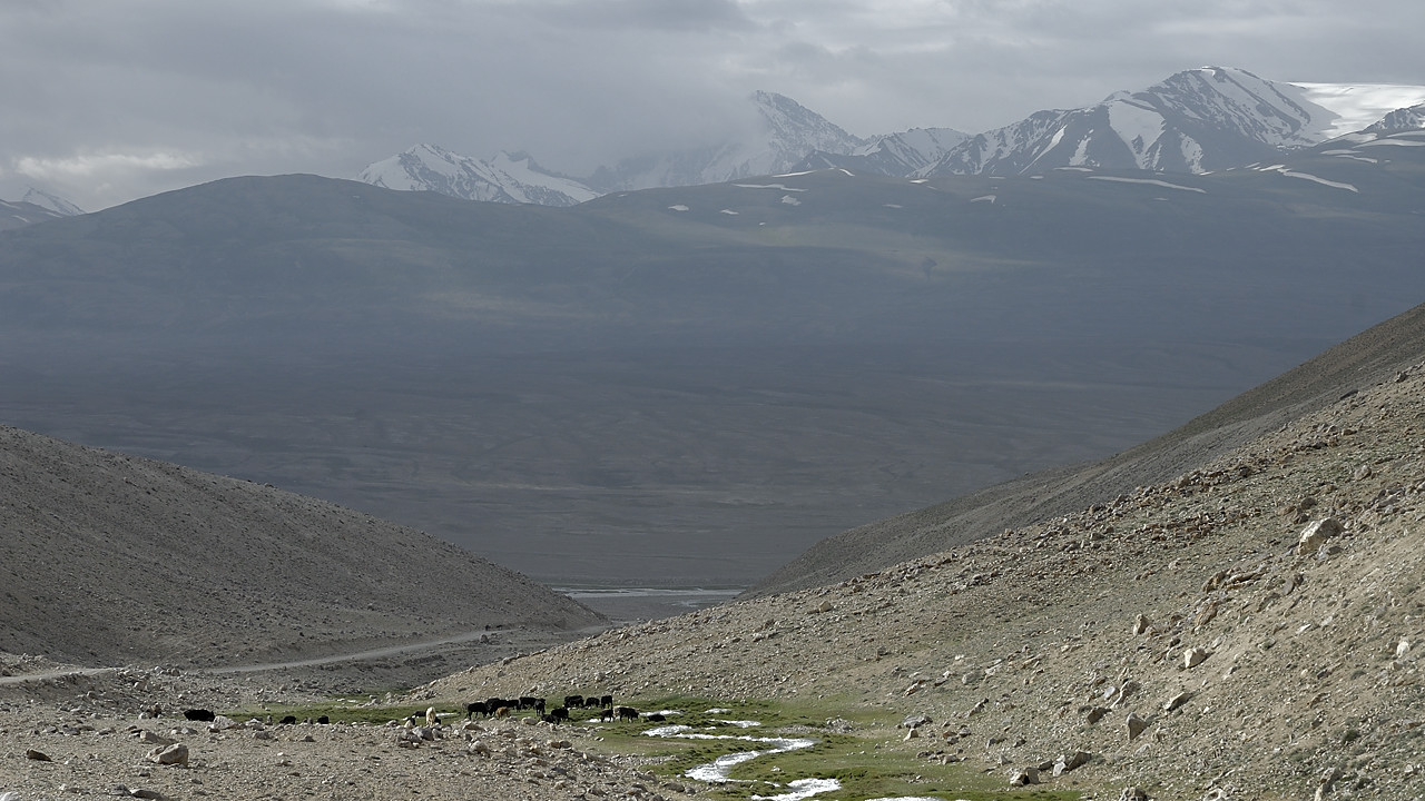 100815-02.jpg - Mont�e au Khargush Pass