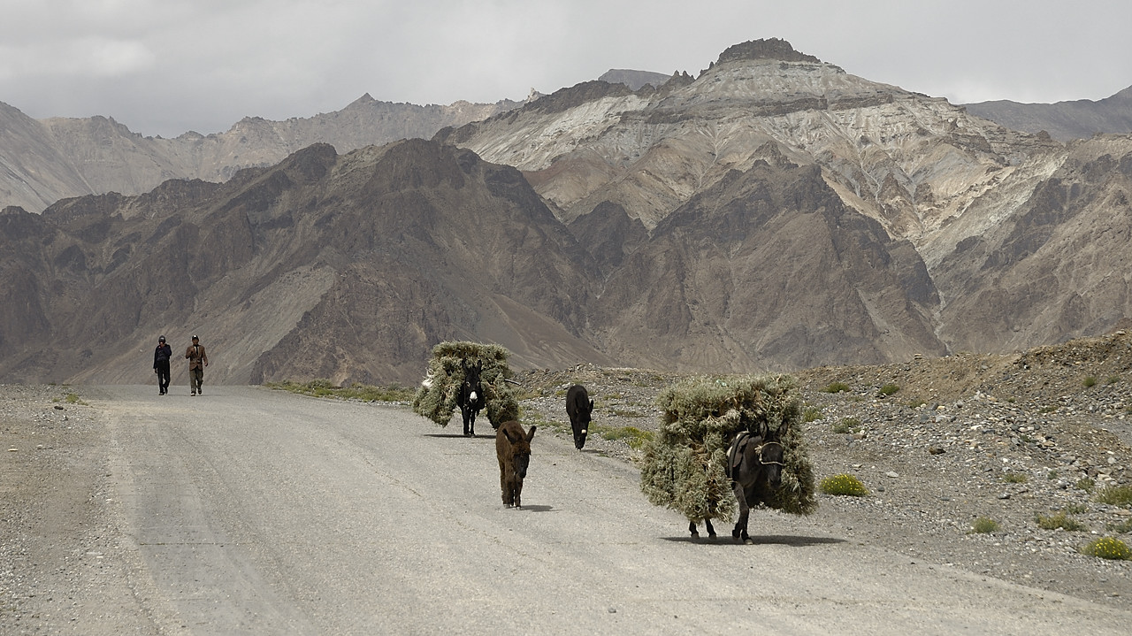 100819-03.jpg - Sur la M41