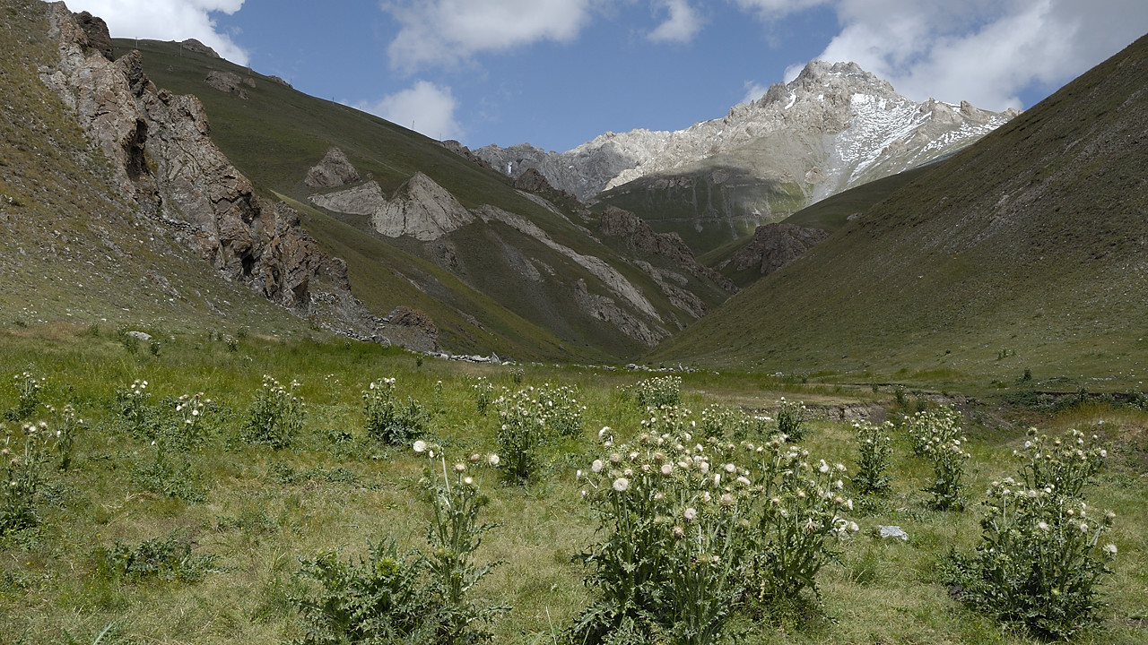 100825-06.jpg - Balade autour de Sary Tash