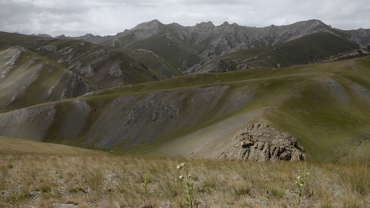 100825-12.jpg - Balade autour de Sary Tash