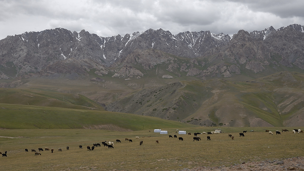 100826-17.jpg - Plaine aux pieds de la chaine des Khrebilt