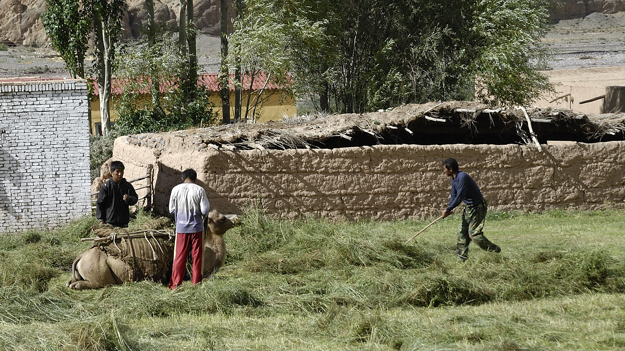 100827-28.jpg - D'Irkechtam � Ulugchat