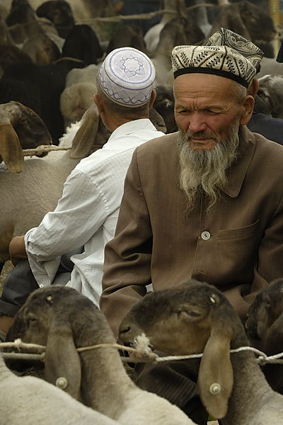 _PPB9564.jpg - Kashgar : march� aux bestiaux