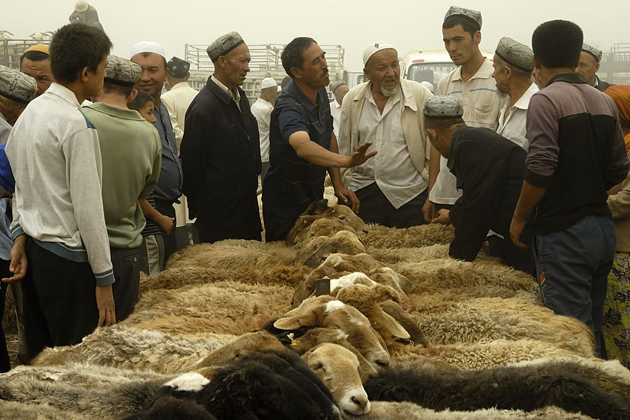 _PPB9570.jpg - Kashgar : march� aux bestiaux