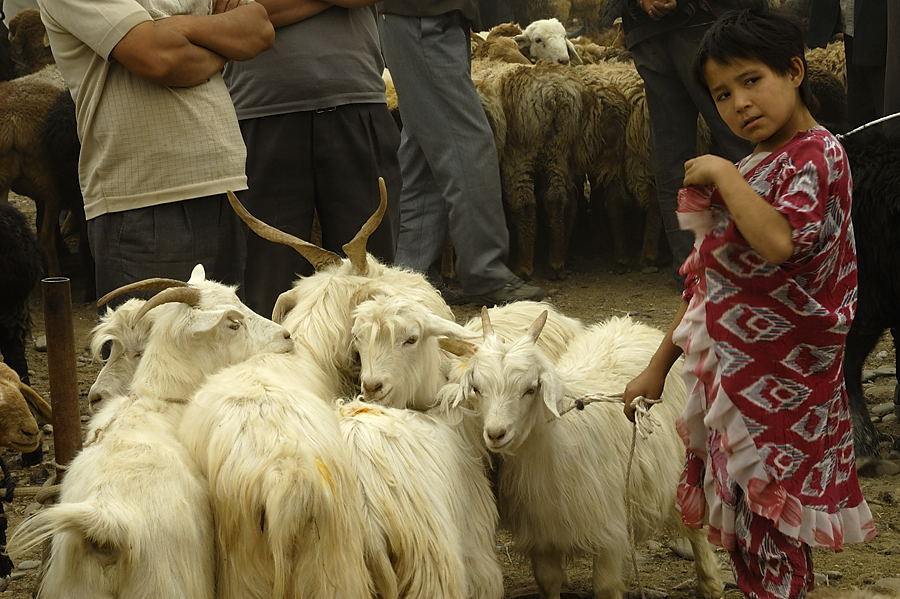_PPB9572.jpg - Kashgar : march� aux bestiaux