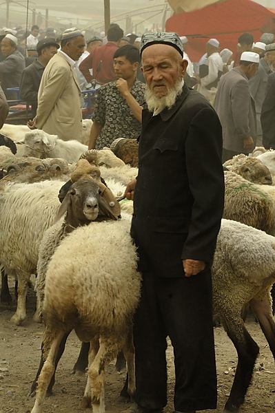 _PPB9581.jpg - Kashgar : march� aux bestiaux