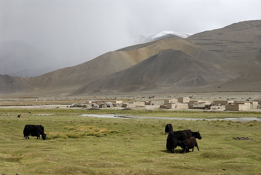 _PPB9677.jpg - Aux pieds du Muztagh Ata