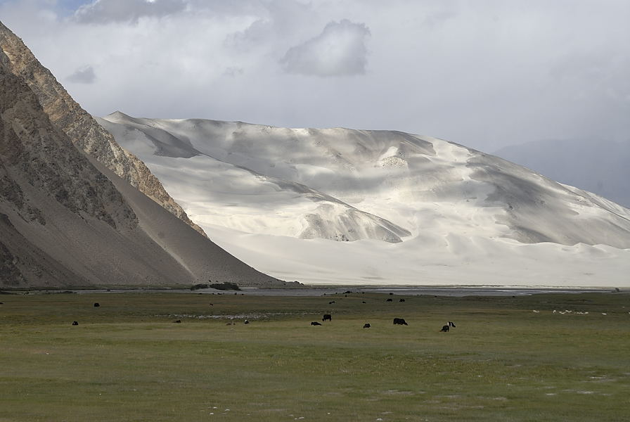 _PPB9720.jpg - Aux pieds du Muztagh Ata