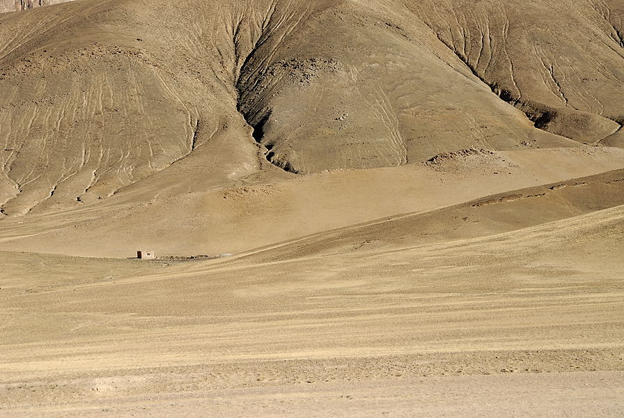 _PPB0458.jpg - Pas g�n� par les voisins