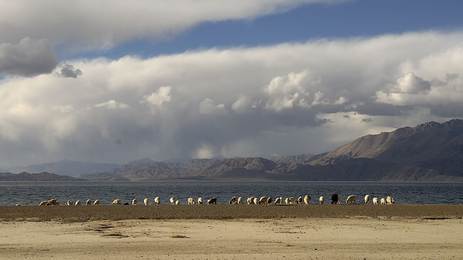 _PPB0523.jpg - Pangong Tso