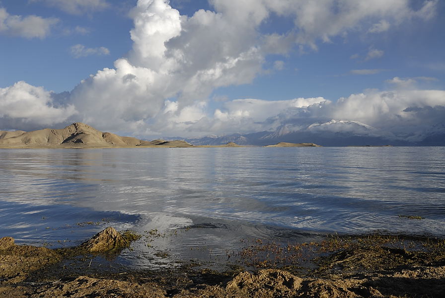 _PPB0537.jpg - Pangong Tso