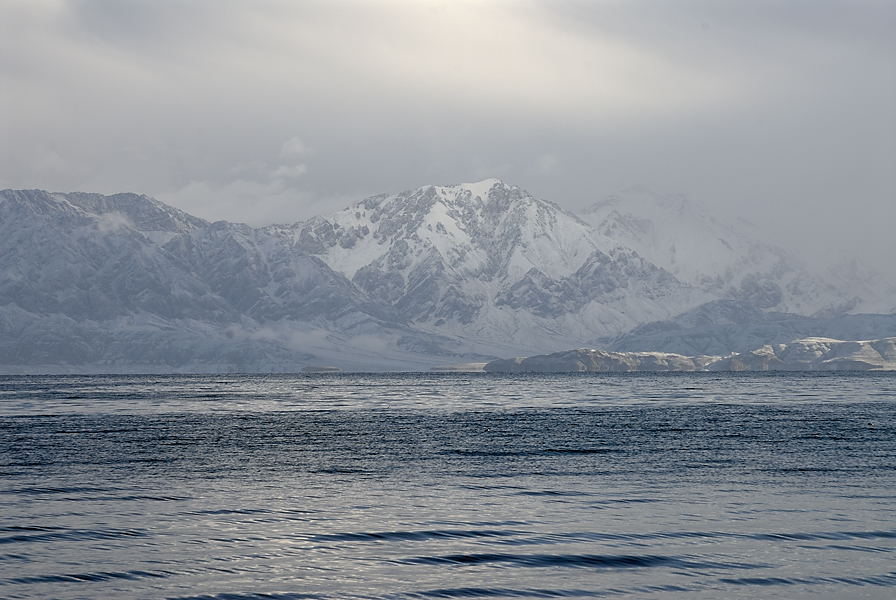_PPB0540.jpg - Pangong Tso, il a neig� o� nous roulions la veille