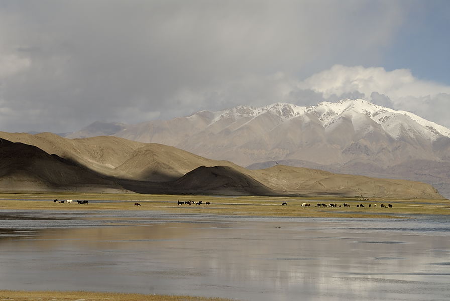 _PPB0542.jpg - Pangong Tso