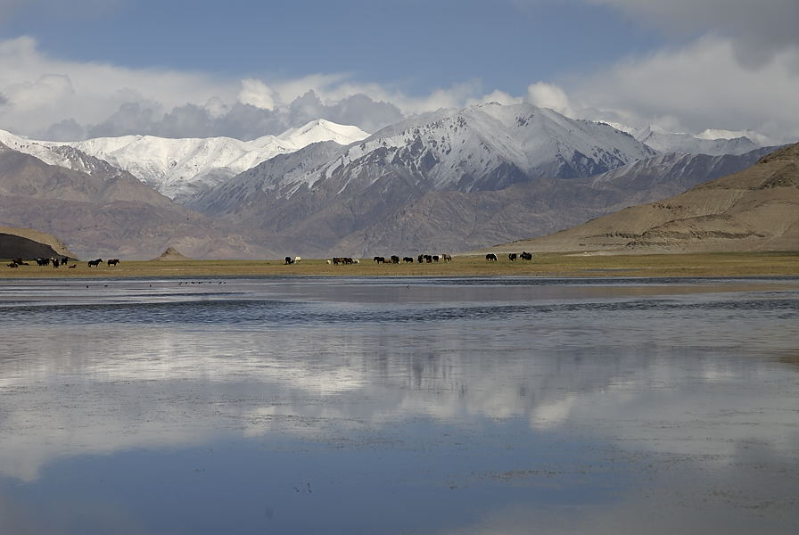 _PPB0547.jpg - Pangong Tso