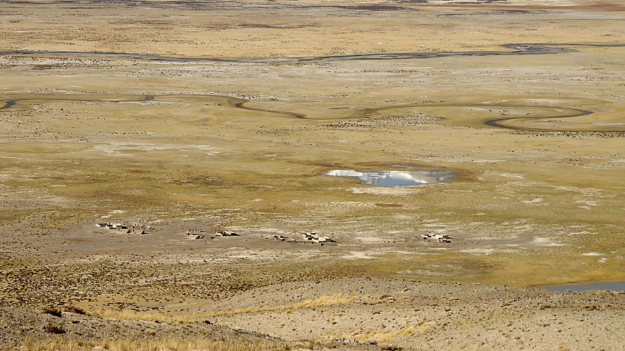 _PPB0628.jpg - Vall�e de la Gar Tsangpo qui rejoint l'Indus : le Ladakh est � (� peine plus de) 2 pas...