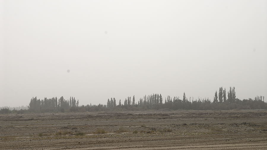 _PPB9782.jpg - Nous n'avons pas encore attaqu� les montagnes