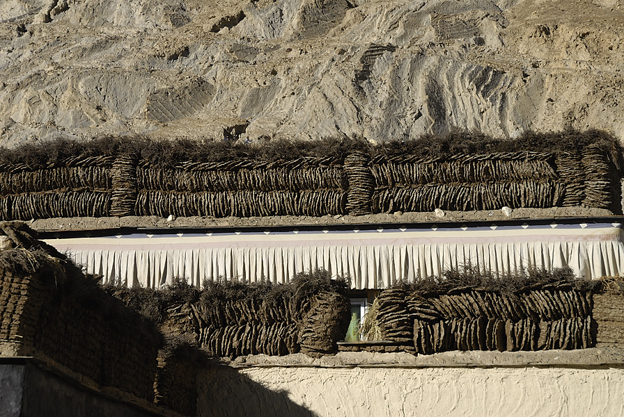 _PPB1153.jpg - Sakya