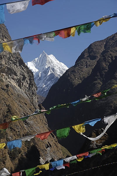 _PPB1441.jpg - Longue descente dans la pleine