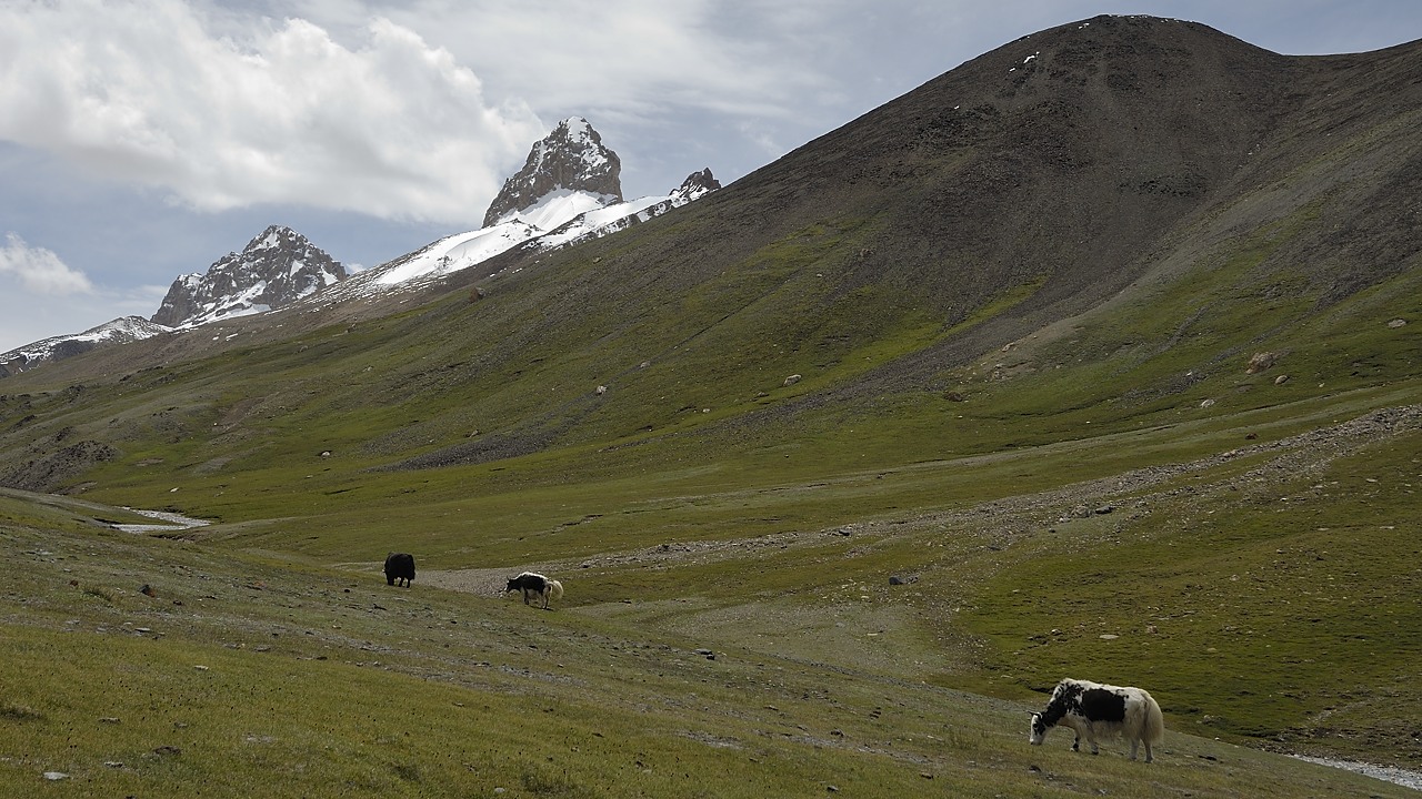 120809-111406.jpg - De Shuizheravau Shimshal pass