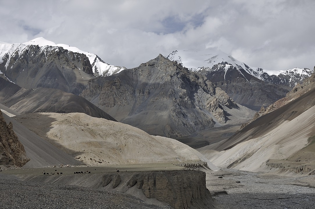 120815-144110.jpg - Plaine de Zardgarben