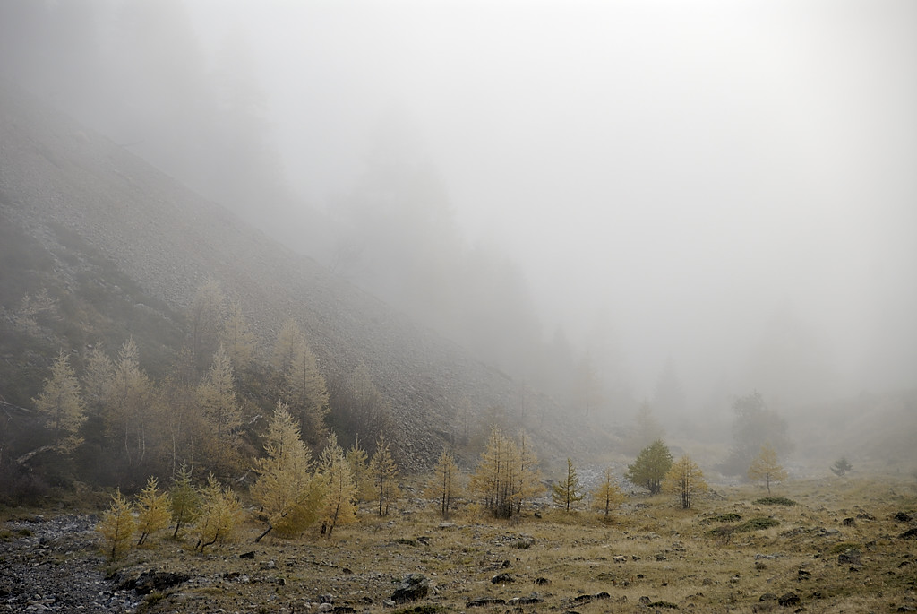 071101-01.jpg - Sortie de la mer de nuages