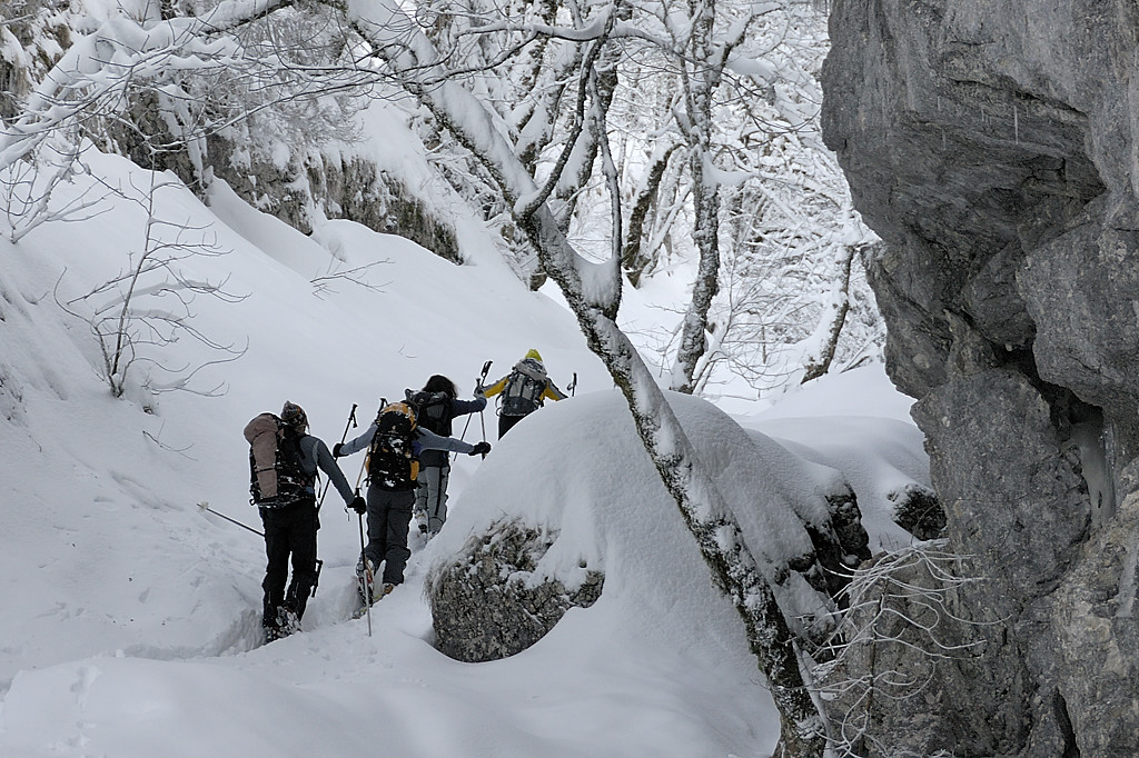 080113-08.jpg - Du GR au pr� de Pratcel