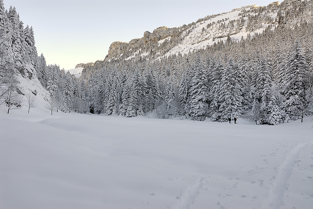 080113-09.jpg - Pr� de Pratcel