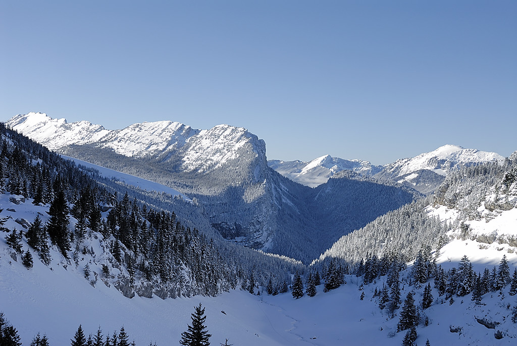 080113-10.jpg - Vallon de Pratcel, au fond : Lances de Malissard