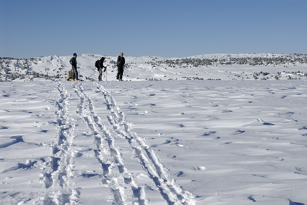 080113-13.jpg - Croix de l'Alpe