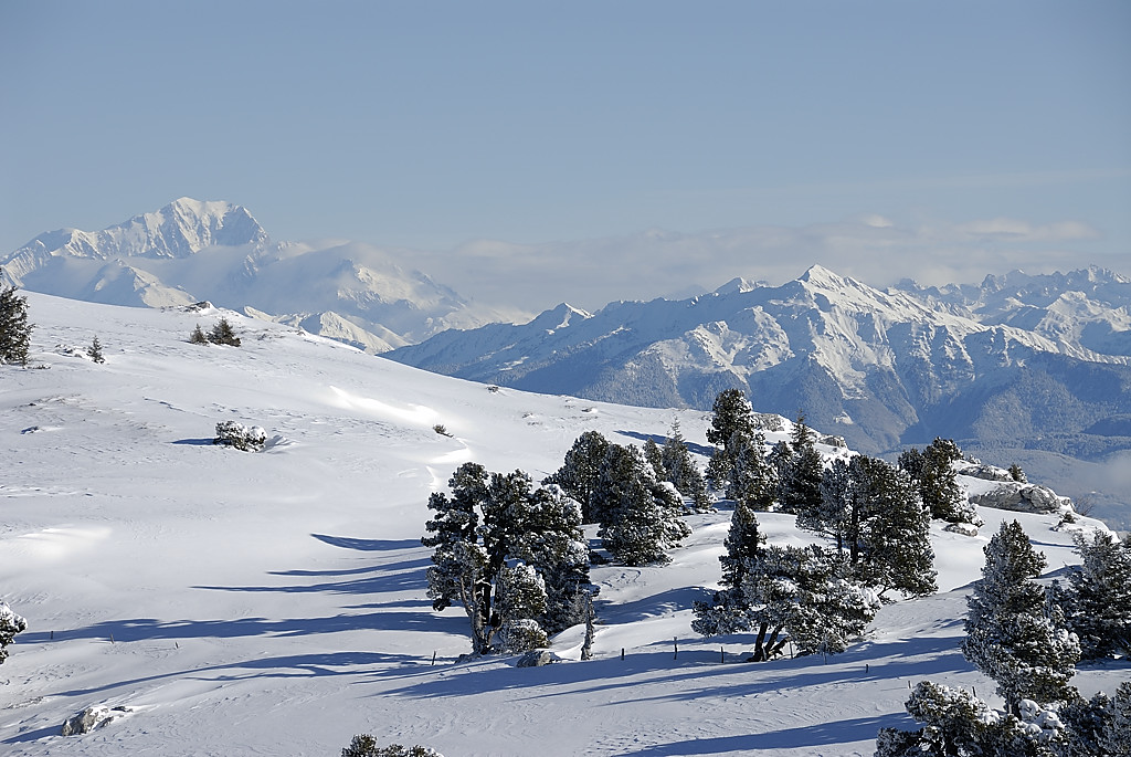 080113-16.jpg - Mont-Blanc depuis la Croix de l'Alpe