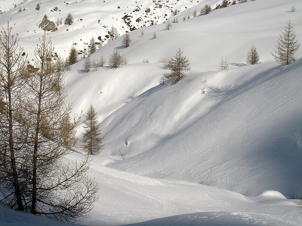 080210-19.jpg