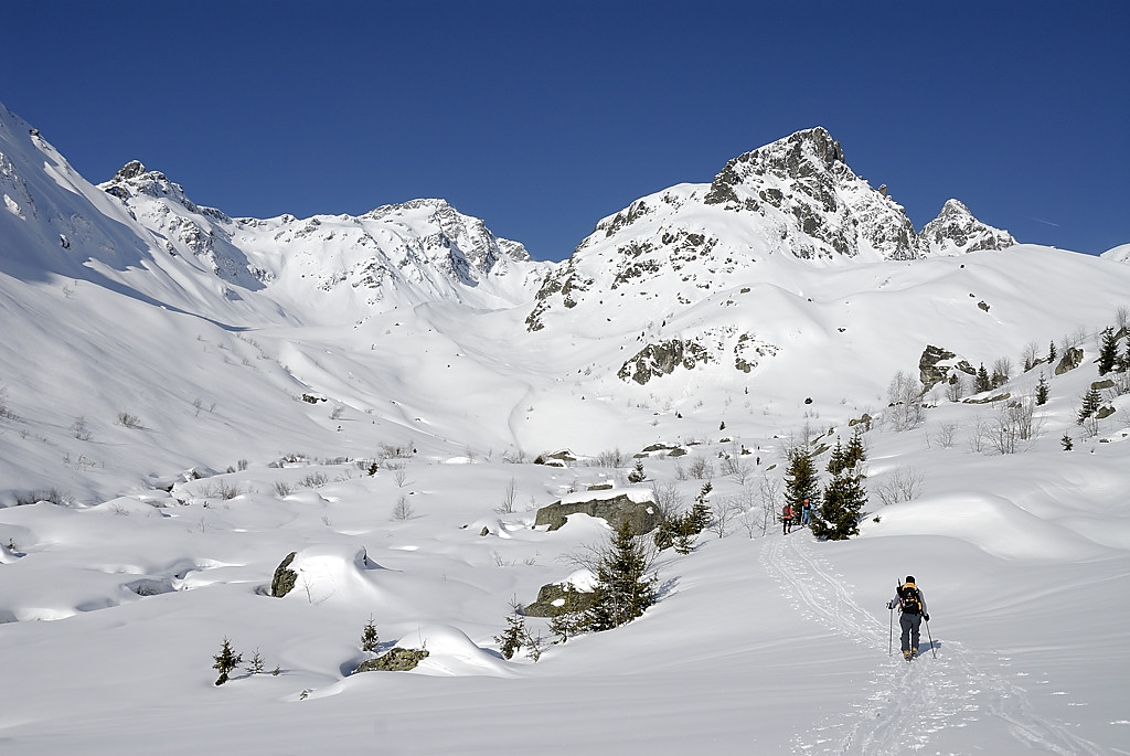 080329-01.jpg - Fond de la Combe du T�pey