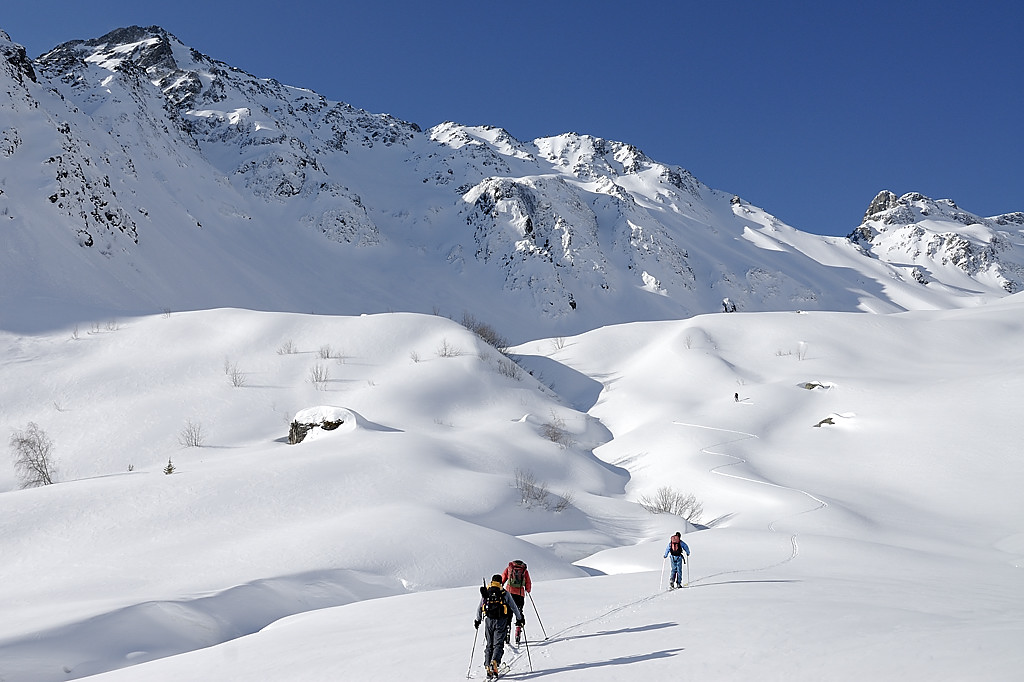 080329-02.jpg - Fond de la Combe du T�pey