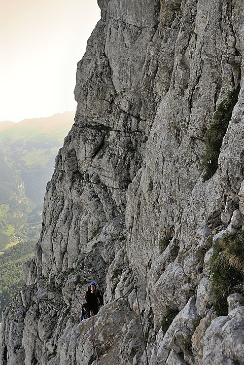 080629-01.jpg - Dans la monte