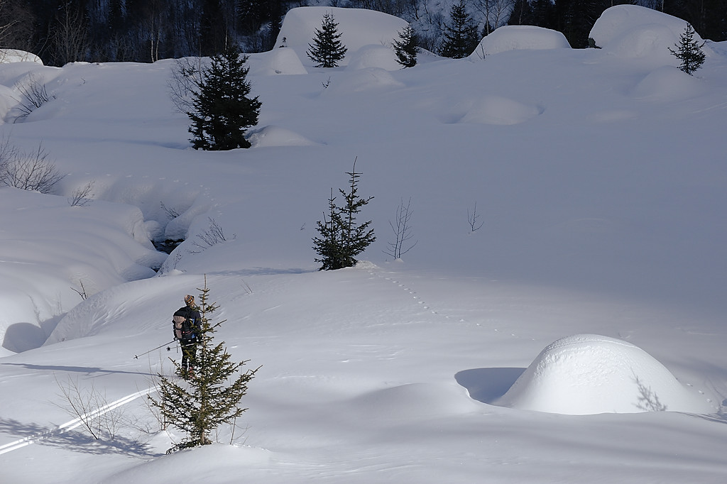 090131-22.jpg - Bas du Vallon de la pierre