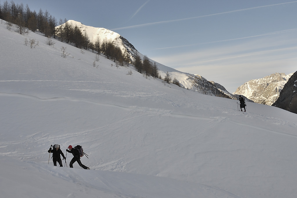 090319-05.jpg - Vallon de Maljasset