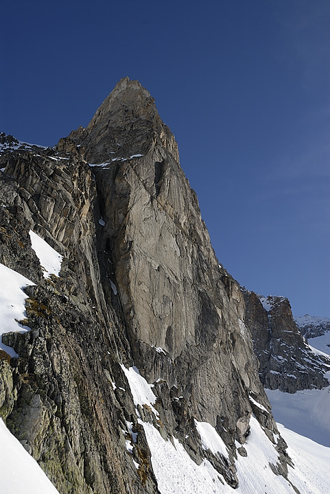 090404-09.jpg - Dibona