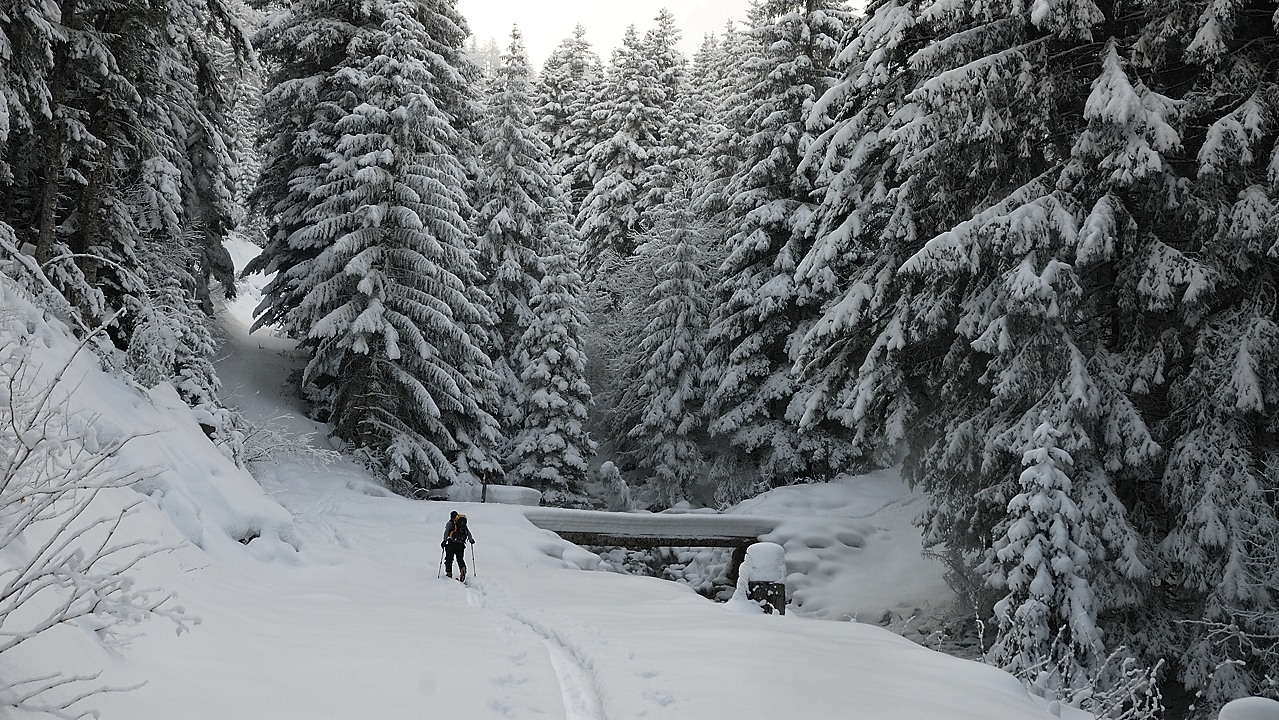 120204-100509.jpg - Dans la combe de Malentraz