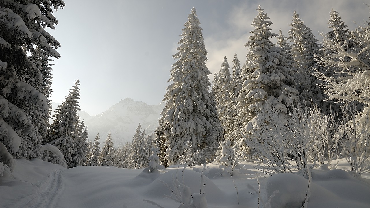 120204-103839.jpg - Dans la combe de Malentraz