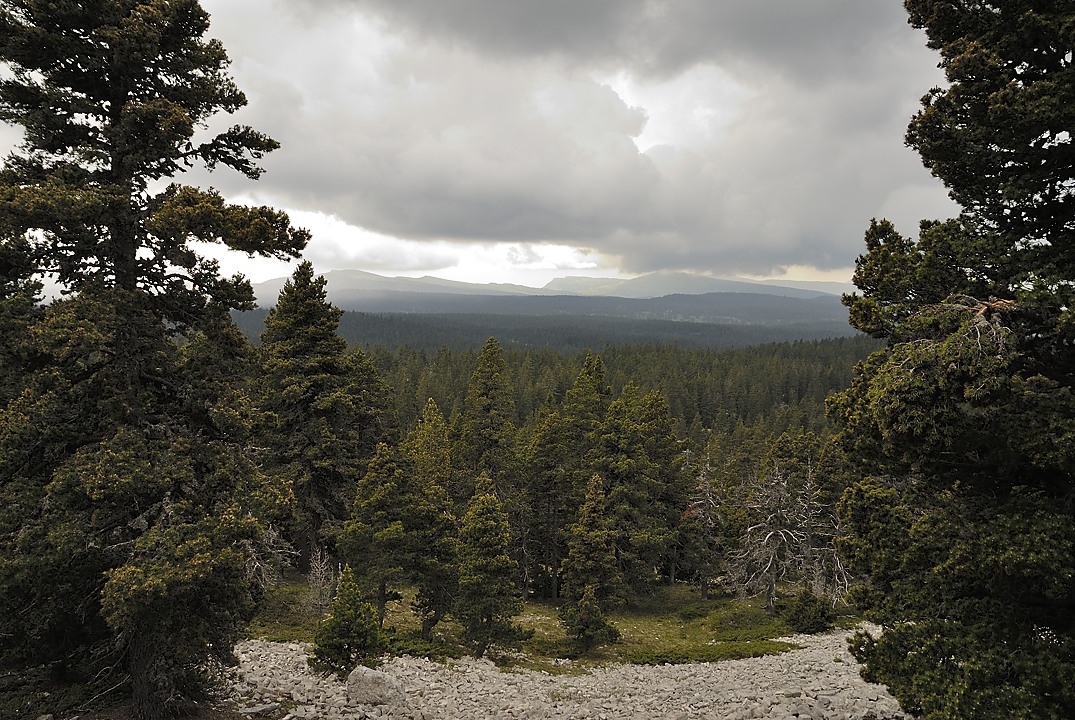 120527-125148.jpg - Ciel d'orage sur les Hauts Plateaux