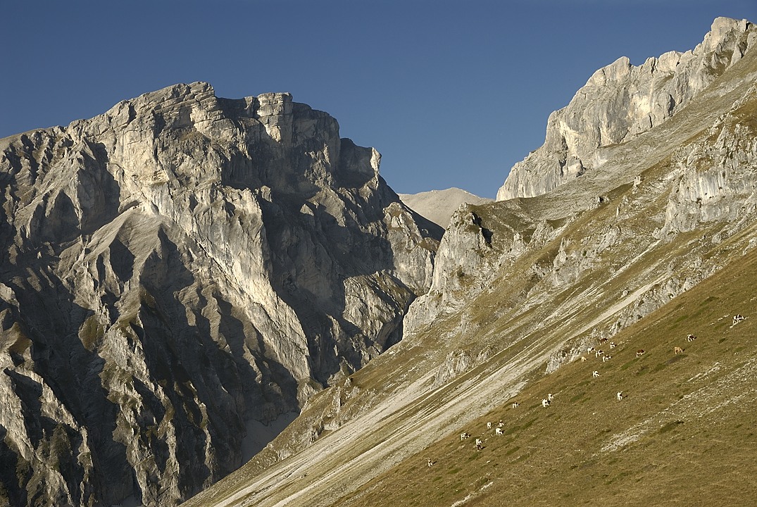 120923-082830.jpg