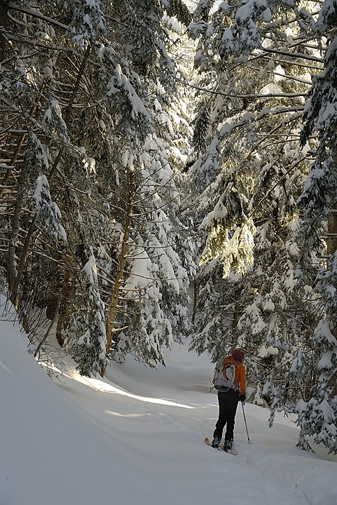 121209-101722.jpg - Arriv�e du soleil