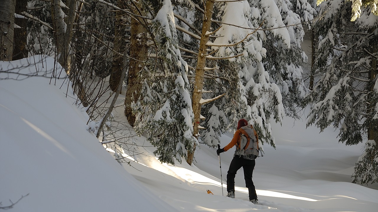 121209-101747.jpg - Arriv�e du soleil