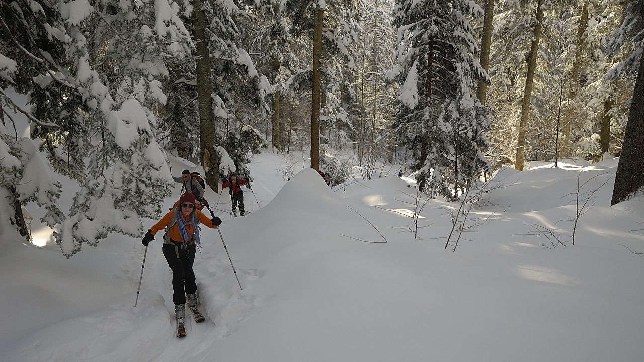 121209-102804.jpg - Trace directe