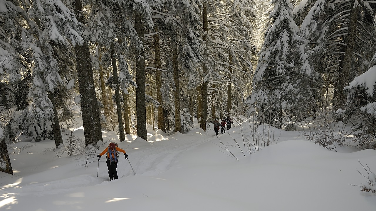 121209-103310.jpg - Trace directe