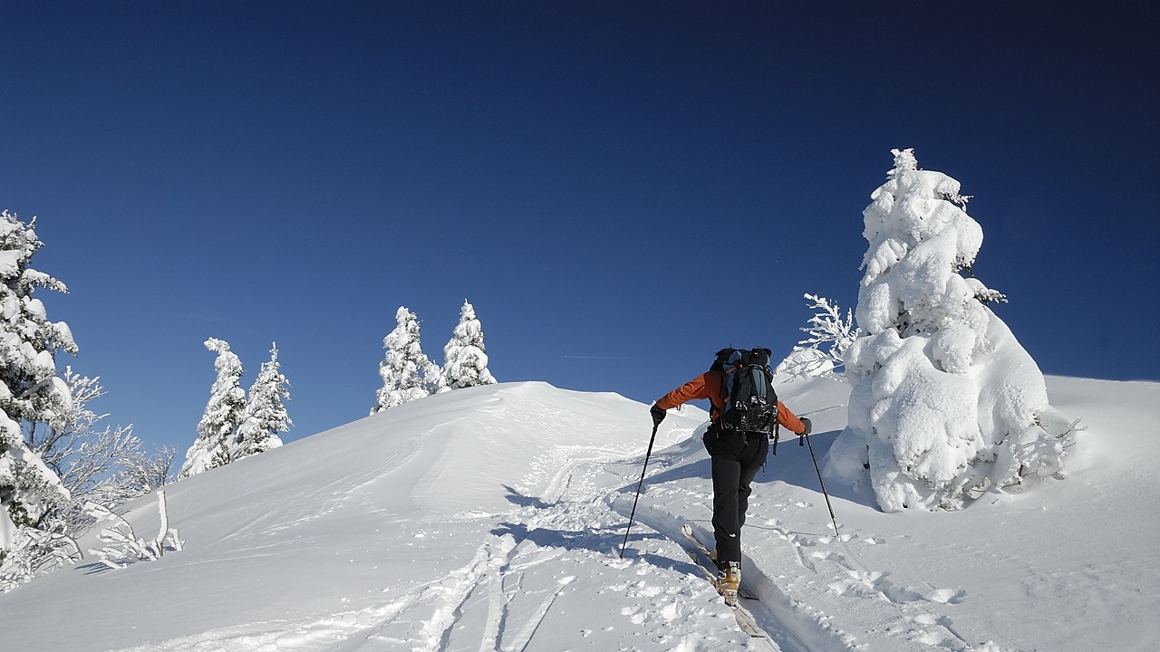 121209-115234.jpg - Ar�te finale