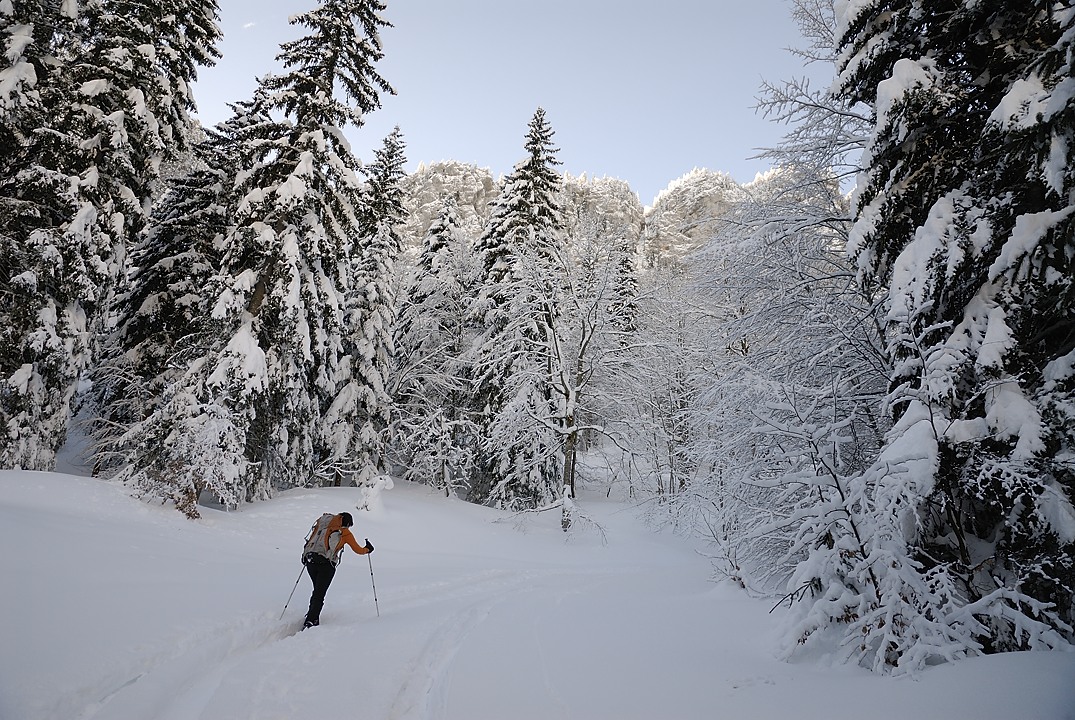 130216-091907.jpg - Montée au col de la Charmille