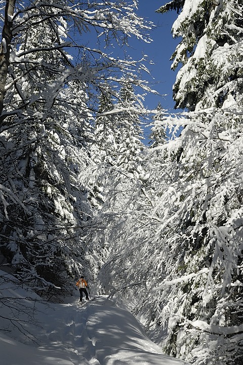 130216-093725.jpg - Montée au col de la Charmille