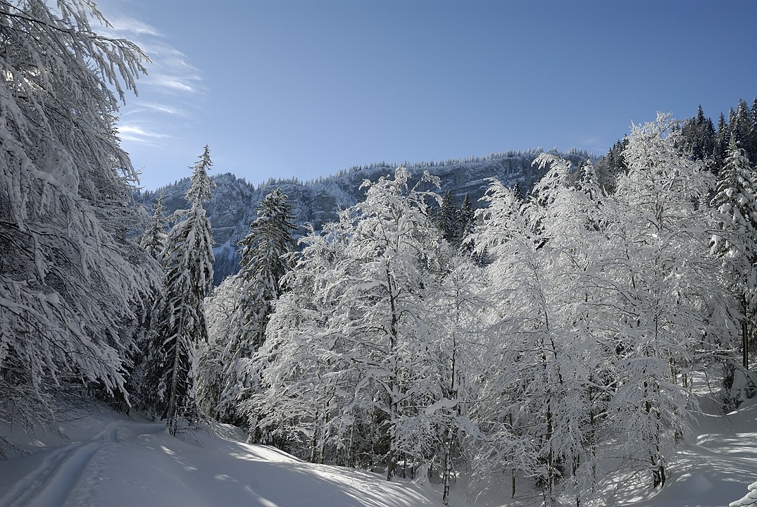 130216-100032.jpg - Montée au col de la Charmille