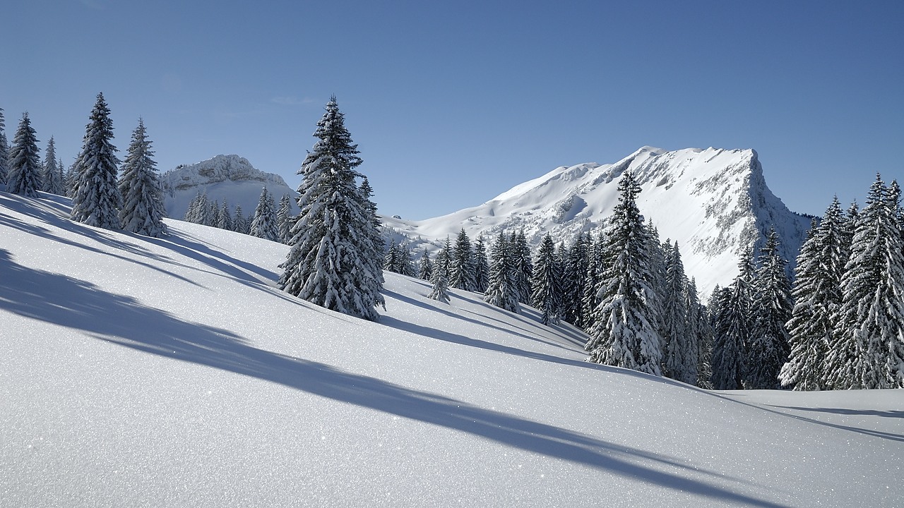 130216-105010.jpg - Grande Sure depuis le col de la Charmille